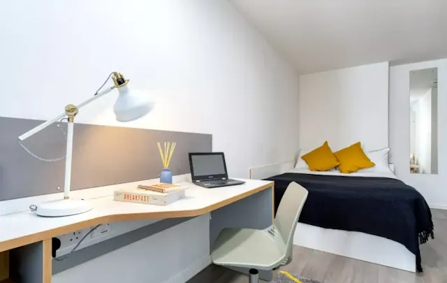 Gold Plus Studio room image 2