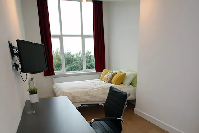 Gold Super Large City Studio room image 1