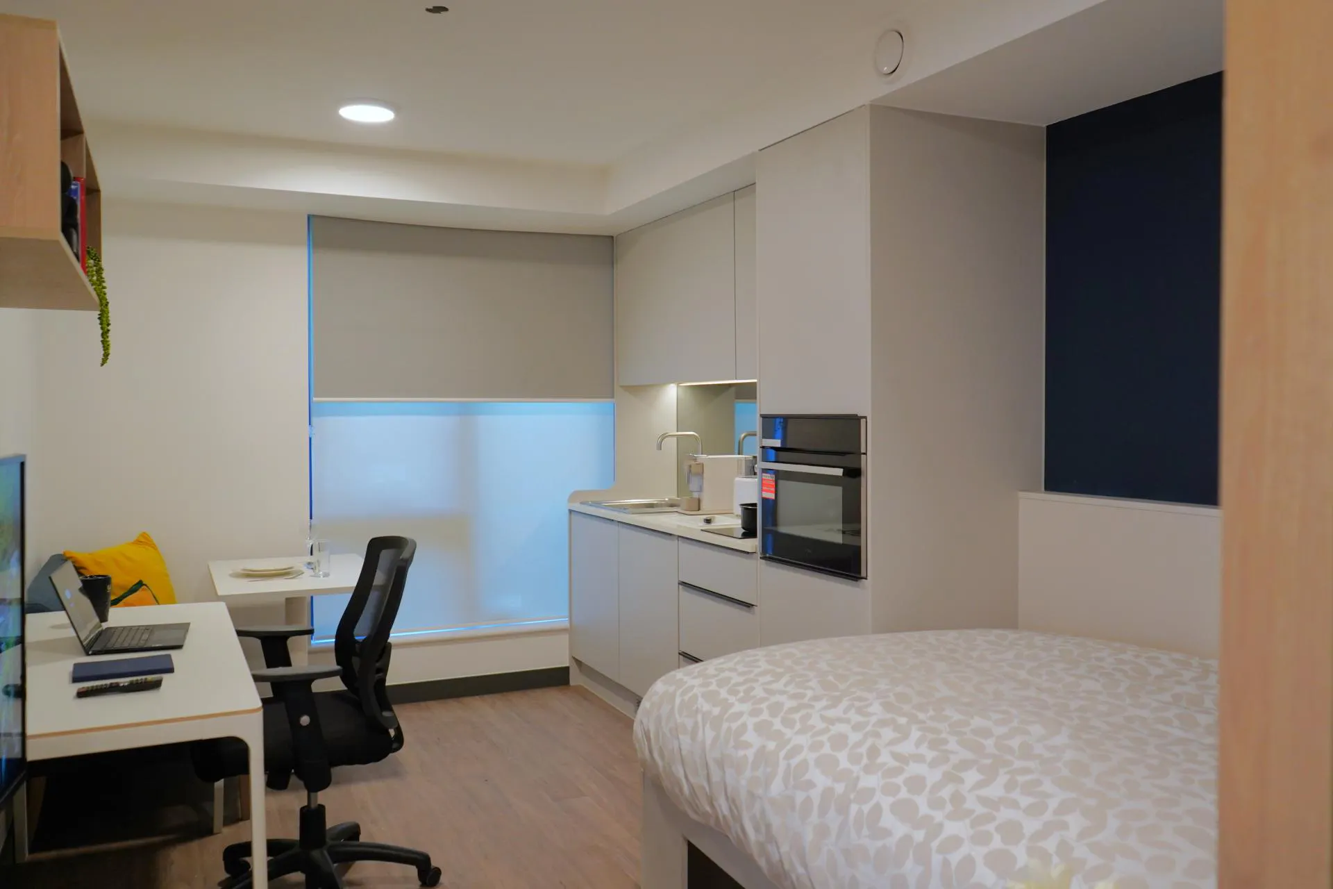 Premium Plus Studio
