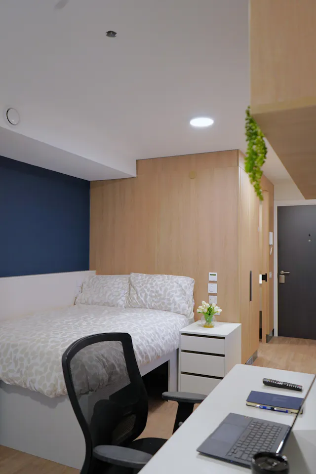 Premium Plus Studio room image 3