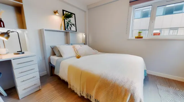 Gold Studio Plus room image 1