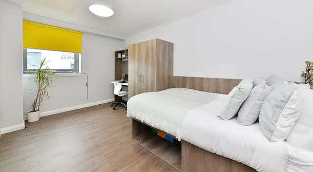 Platinum Studio room image 2