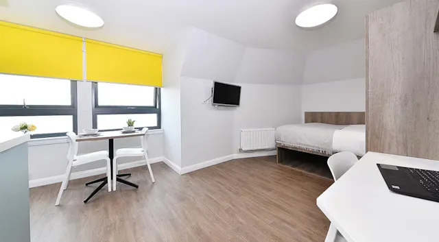 Gold Studio room image 3