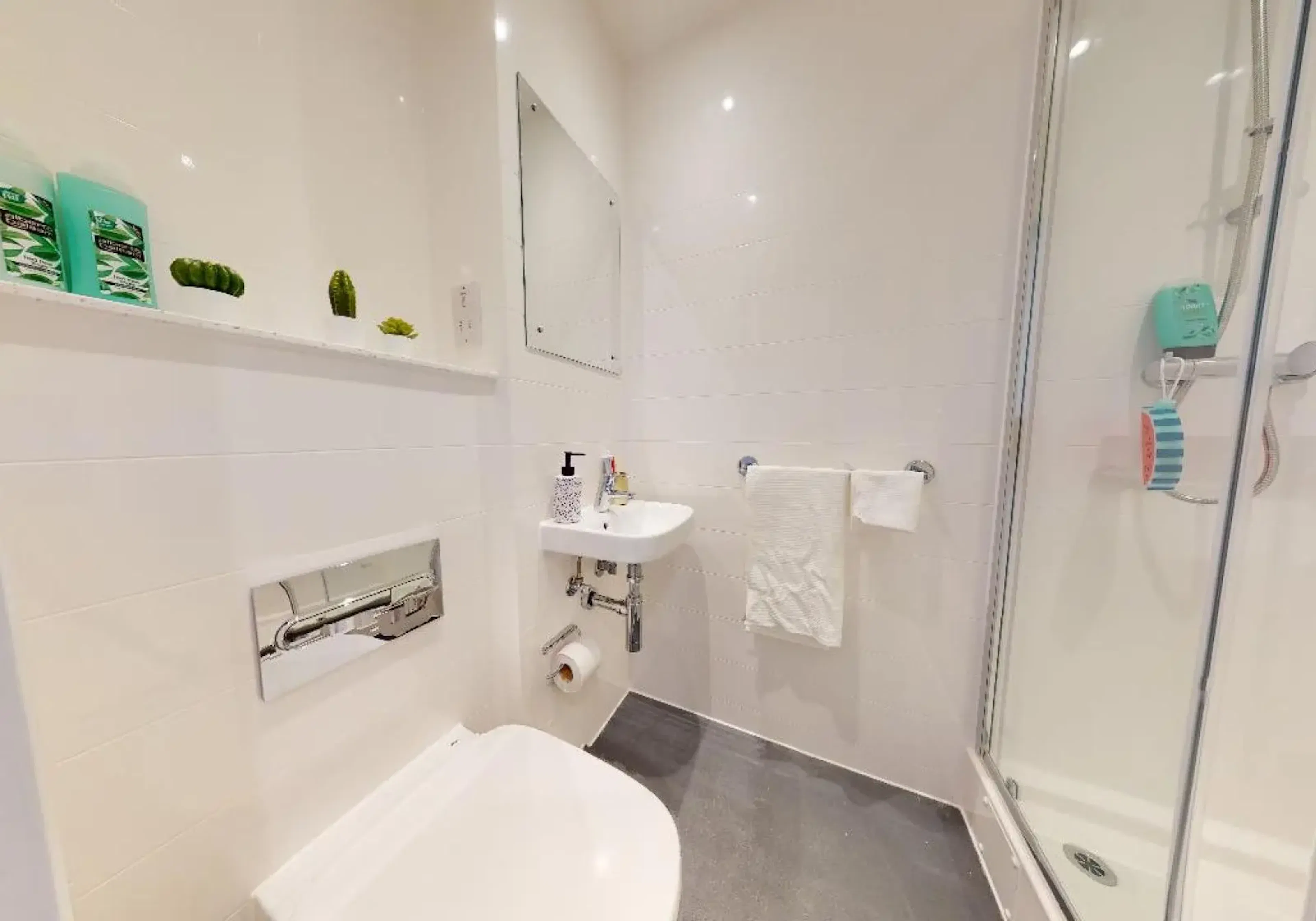 Copper En Suite BATHROOM 2
