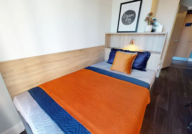 Silver En Suite Plus room image 2