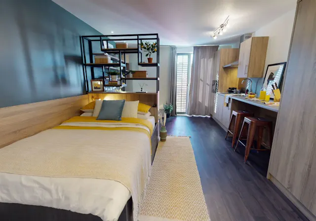 Platinum Studio Plus room image 2