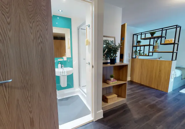 Diamond Studio room image 5