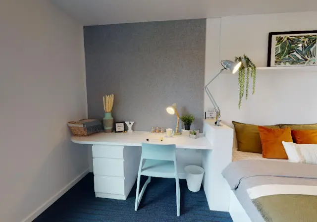 Platinum Studio Plus room image 2