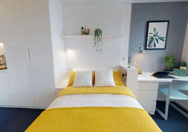 Gold Studio Plus (DDA) room image 2
