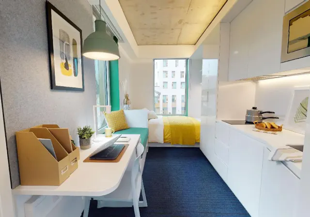 Gold Studio Plus room image 3