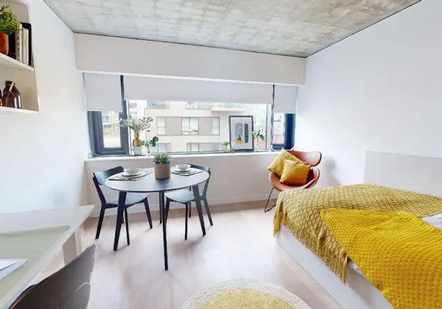 Gold Studio Deluxe room image 4