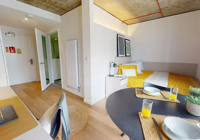 Platinum Studio Plus room image 5