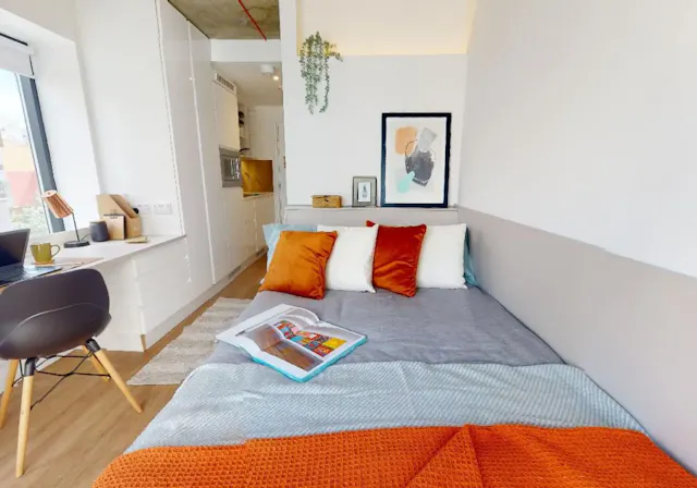 Silver Studio Deluxe room image 1