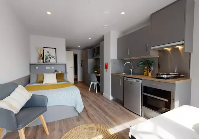 Penthouse Studio room image 1