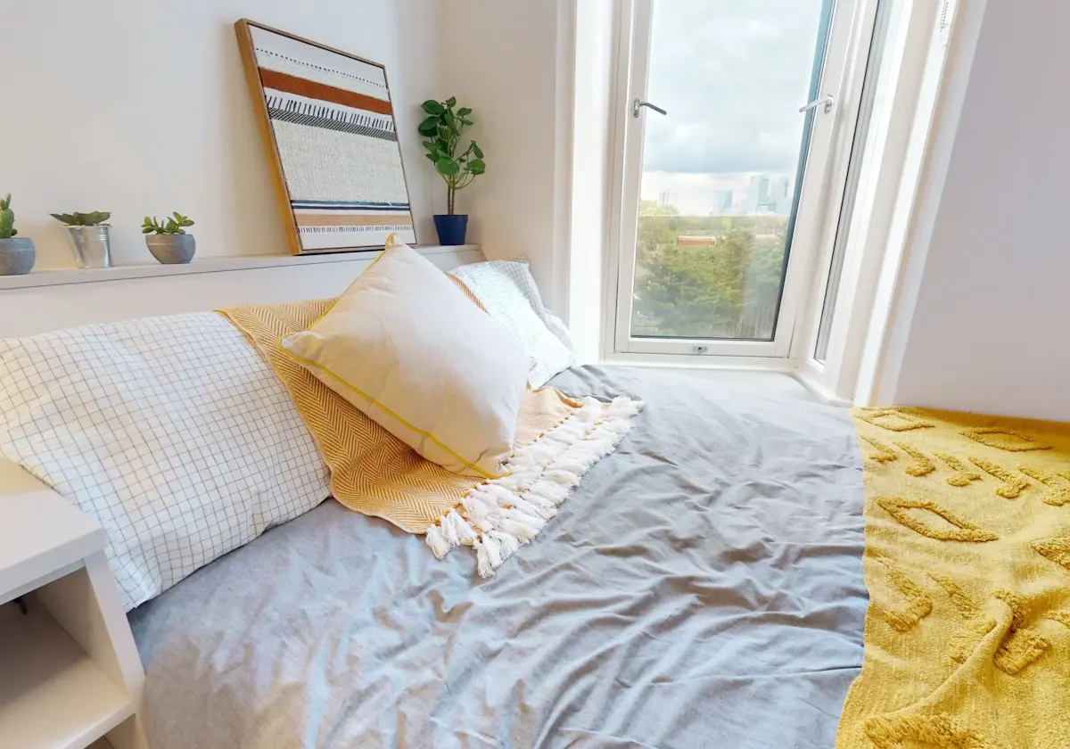 Bronze Studio Plus ROOM