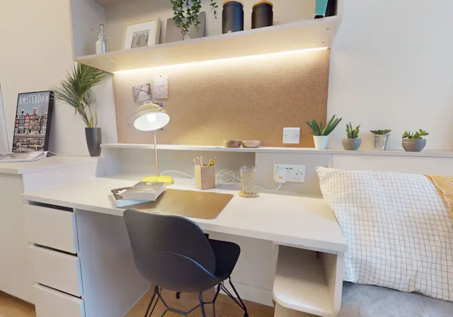 Bronze Studio Plus room image 2