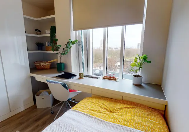 Gold Studio Plus room image 2