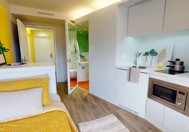Gold Studio Plus room image 1