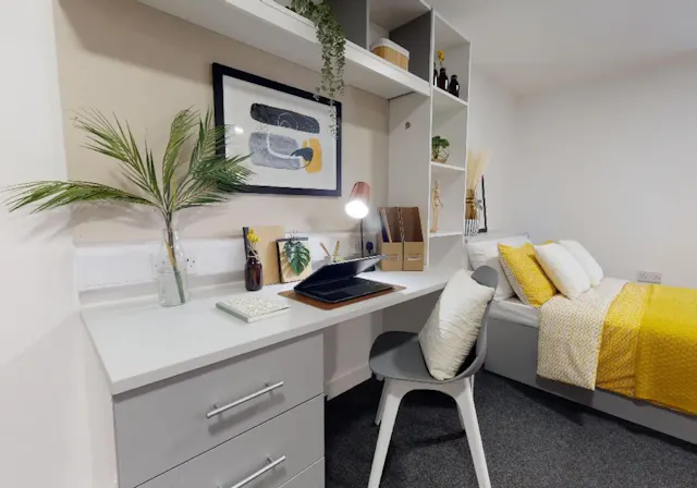 Gold Studio Plus room image 1
