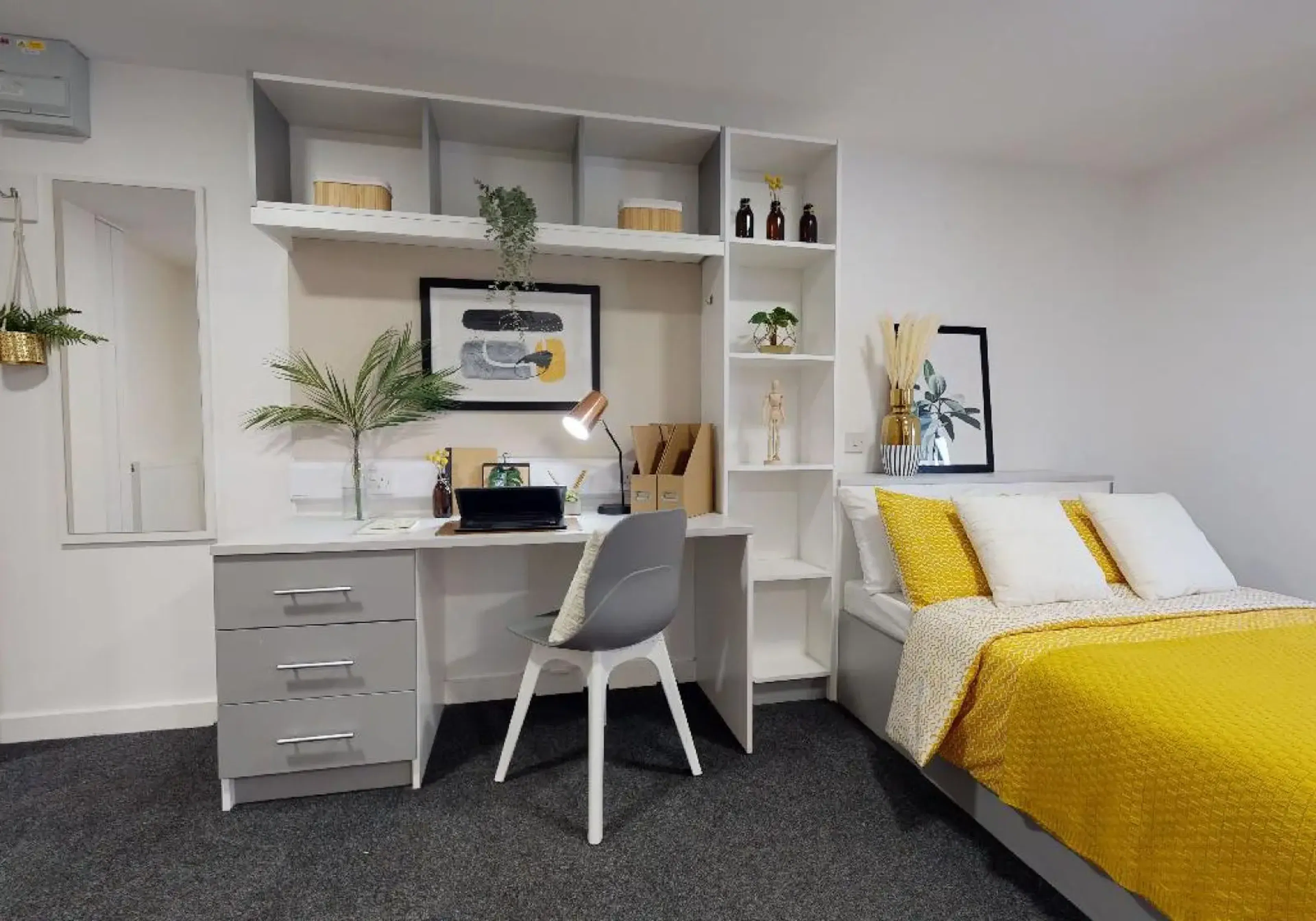Gold Studio Plus ROOM 3