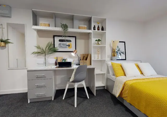 Gold Studio Plus room image 2