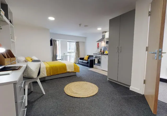 Gold Studio Plus room image 3