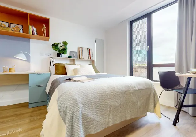 Gold Studio Plus room image 1