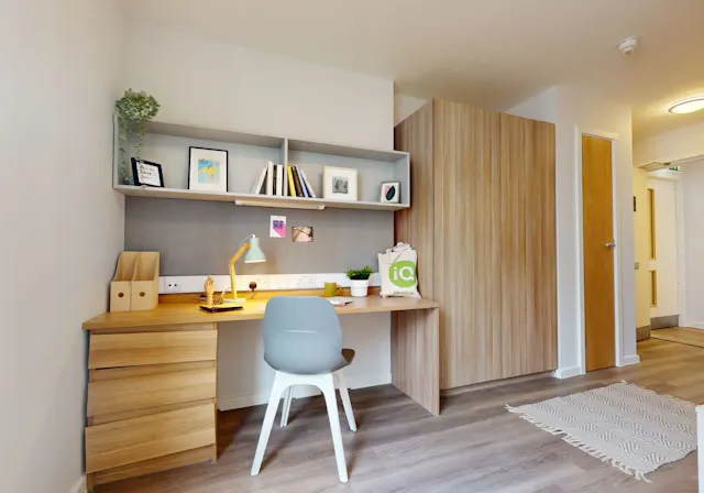 Bronze Studio Plus room image 2