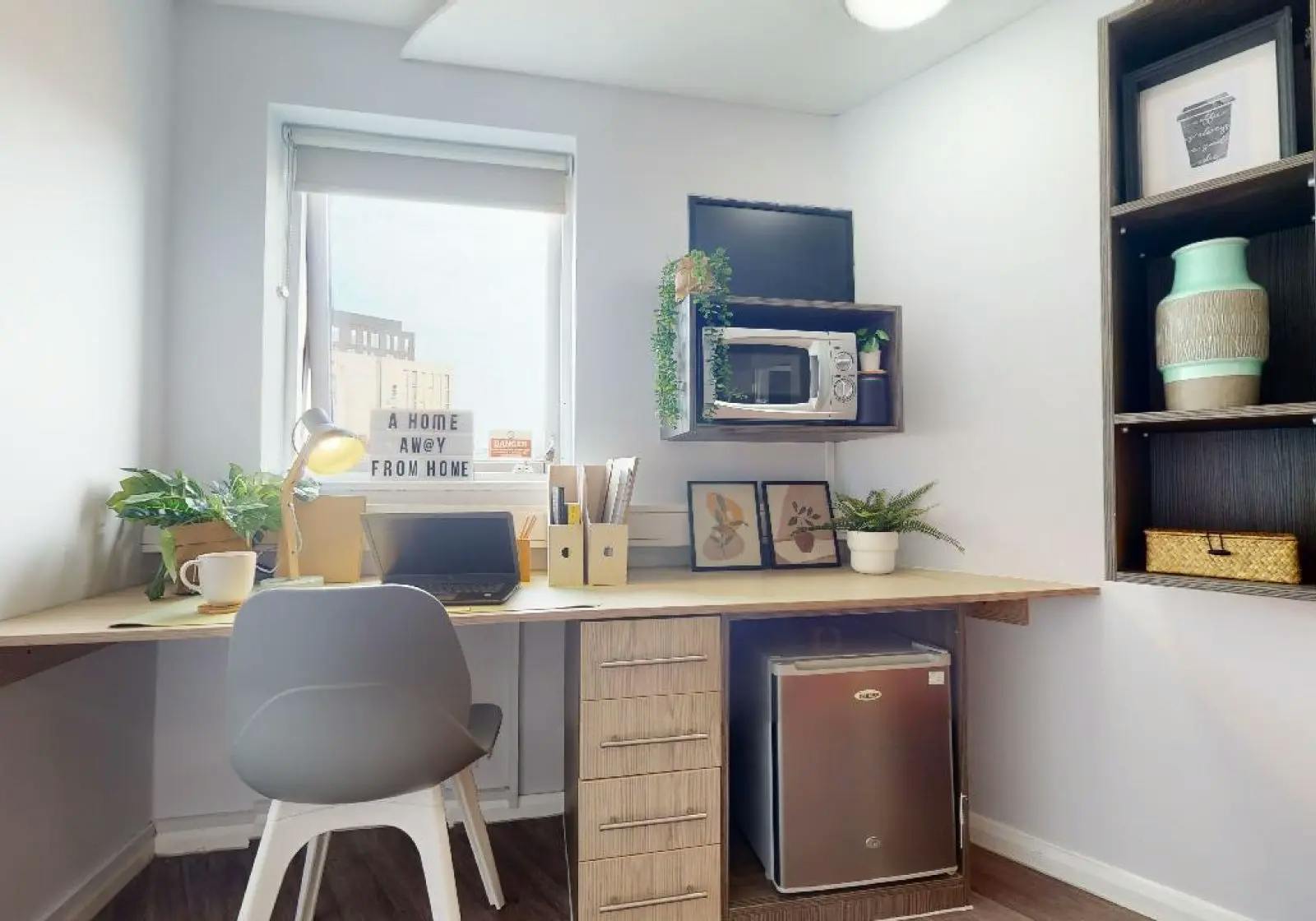 Silver Mini Studio