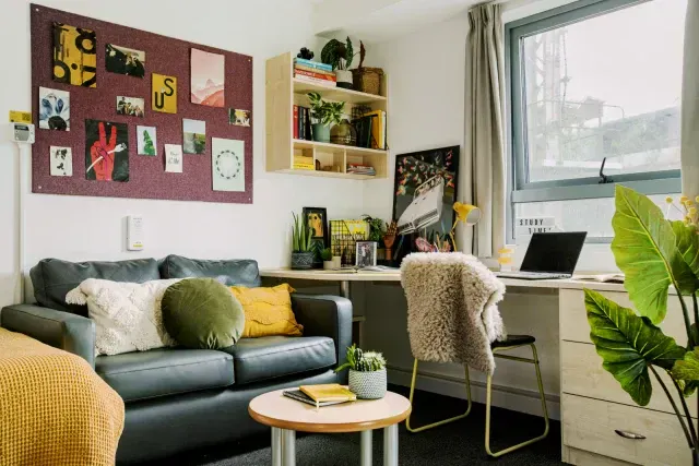 Double Wheelchair Accessible Studio room image 2