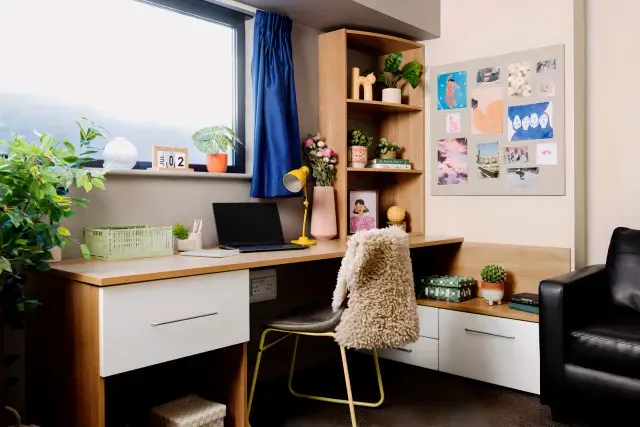 Partly Accessible Studio Double room image 2