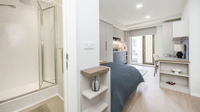 Classic Studio Plus room image 2