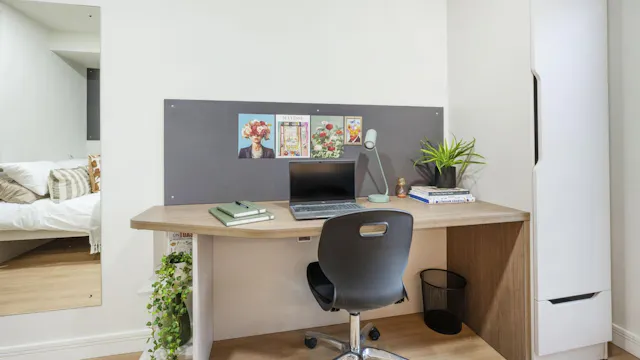 Standard Studio Plus room image 2