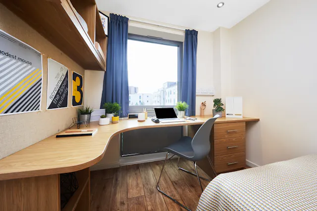 Bronze Ensuite room image 2