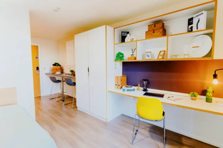 Gold Plus Studio (City View)