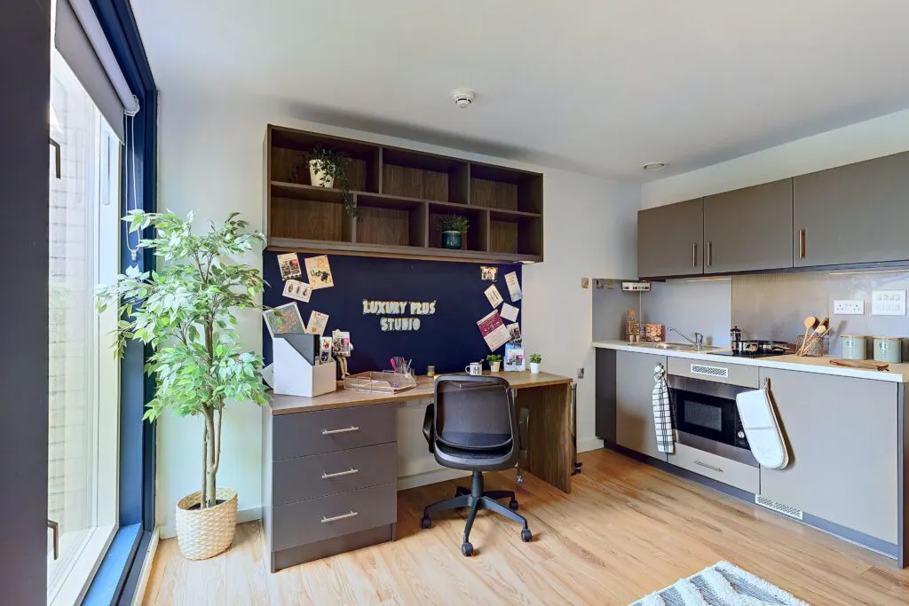 Luxury Plus Studio