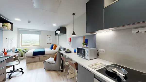 Standard Plus Studio