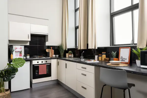 Premium Plus Studio