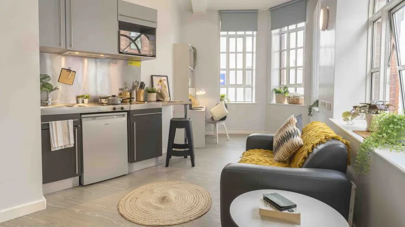 Platinum Studio Prem Plus