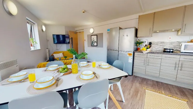 Silver Mini Studio