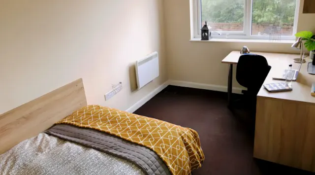 Premier En-Suite(UK Guarantor not required) room image 1