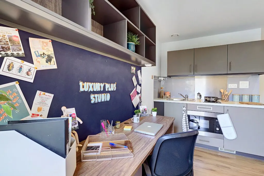 Luxury Plus Studio