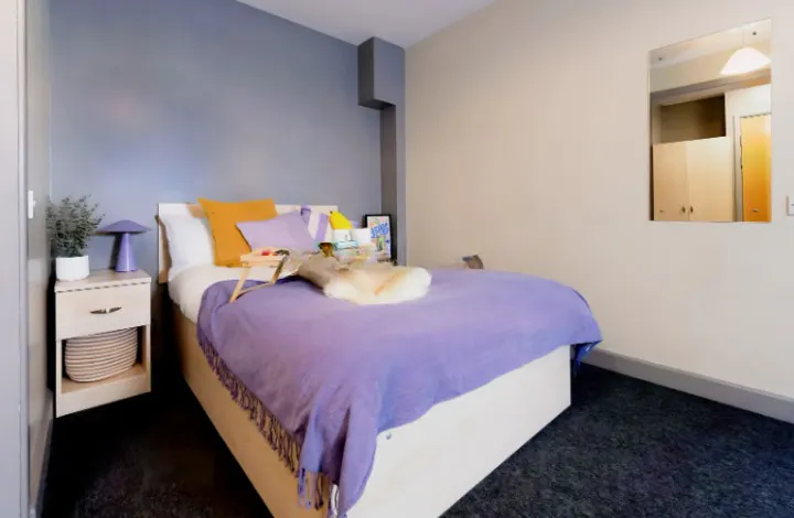 Platinum Studio Mid Level