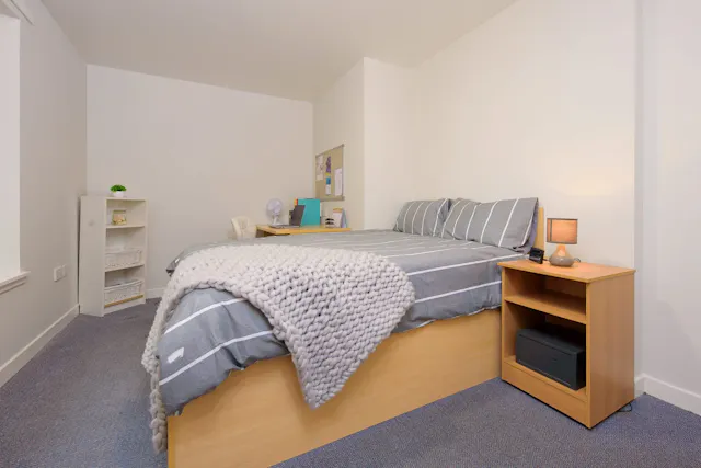 Premium Double Bed Flat room image 1