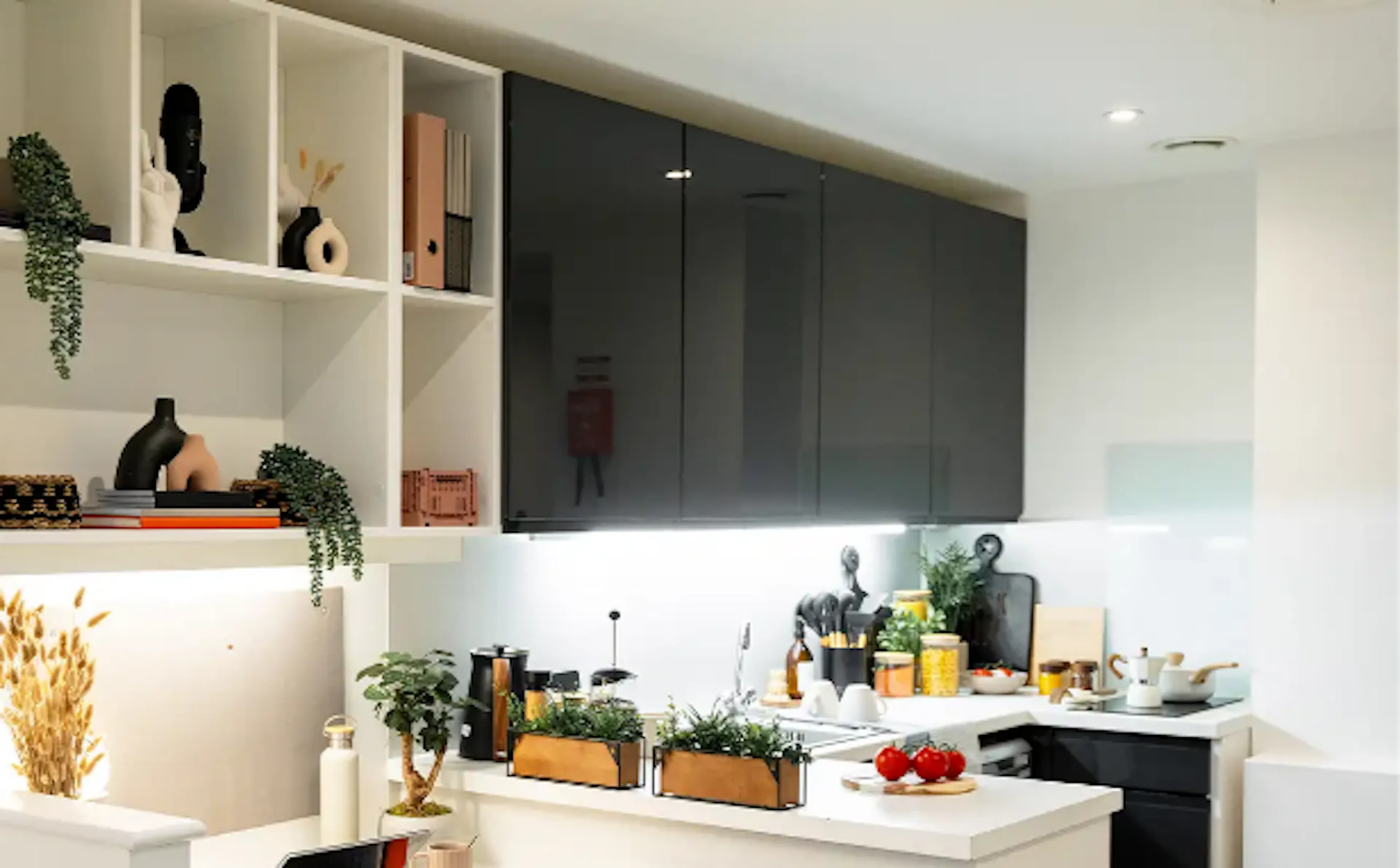 Luxe Studio KITCHEN 1