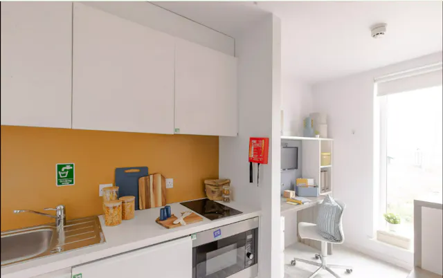 Premium Studio room image 5