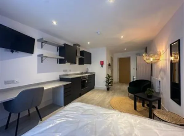 Luxury Studio KITCHEN 2