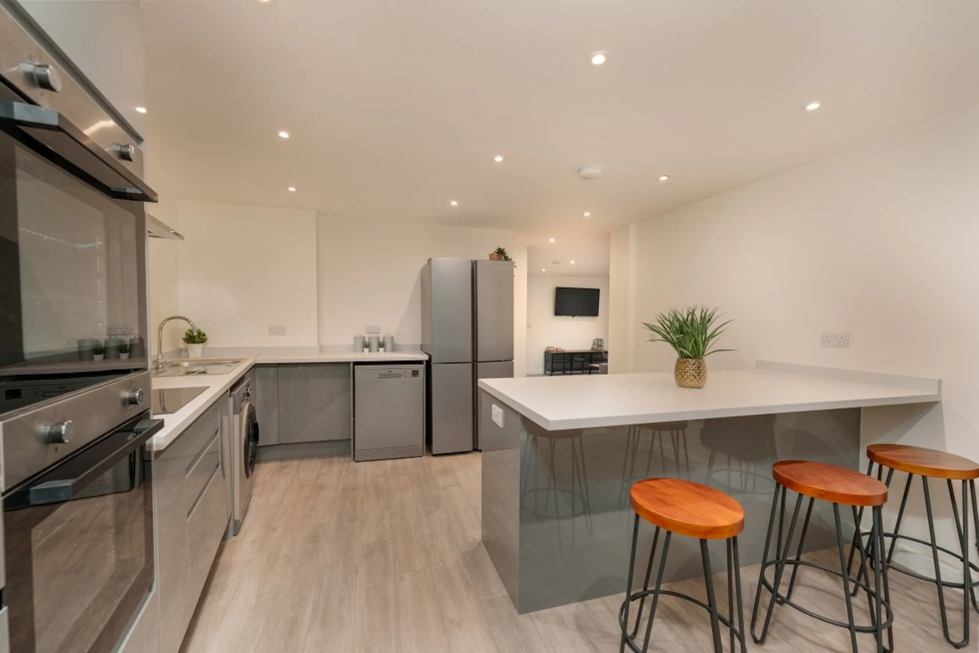 7 Bedroom Apartment KITCHEN 3