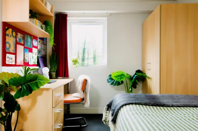 Ensuite: Three Bed Flat Large Standard Double room image 1
