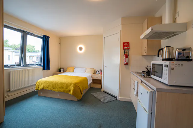 Large Studio room image 1